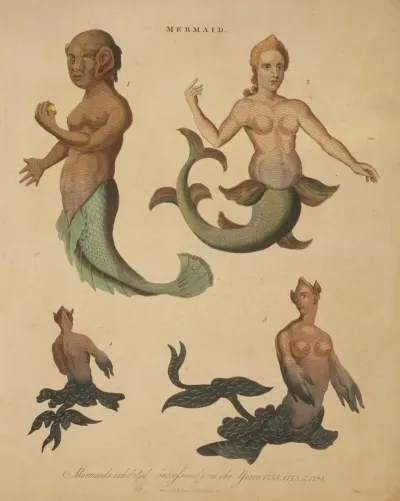 Mermaids Exhibited Successively In The Years 1758 1775 1794