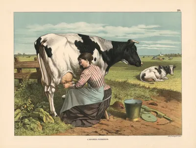 Milkmaid