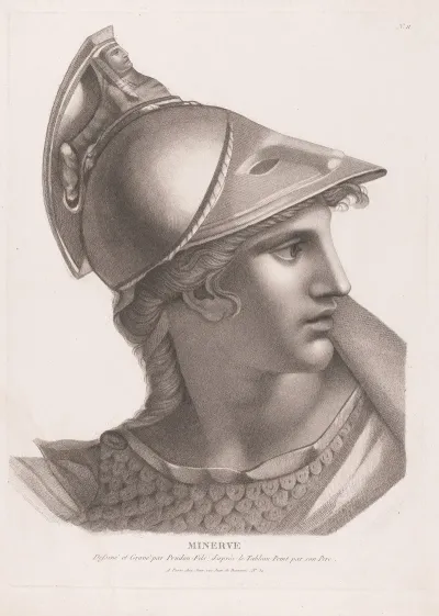 Minerva 9