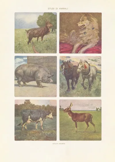 Modern Decorative Art Vol Iii Pl 06