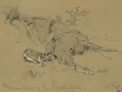 Momentoes Of The Battlefield