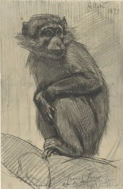 Monkey On A Branch
