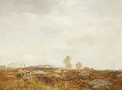 Moorlandschaft 5