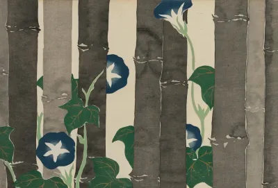 Morning Glories Asagao