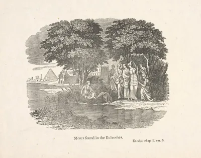 Moses Found In The Bulrushes