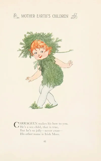 Mother Earths Children The Frolics Of The Fruits And Vegetables Pl 33