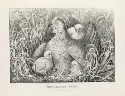 Mothers Wing