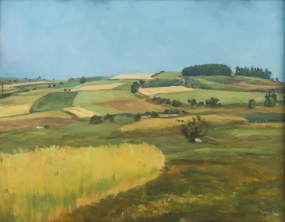 Mountain Fields