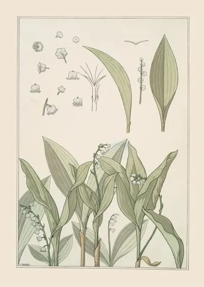 Muguet