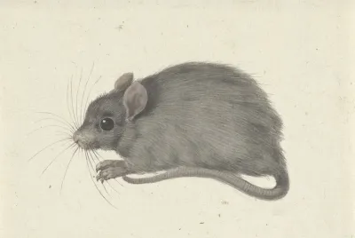 Muis Naar Links