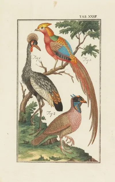 Naturlehre
