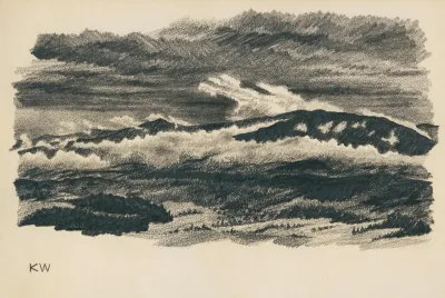 Naturstudie Xlviii