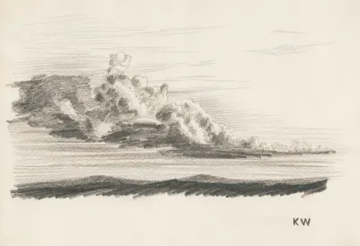 Naturstudie Xxiv
