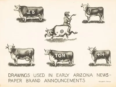 Newspaper Brand Announcements