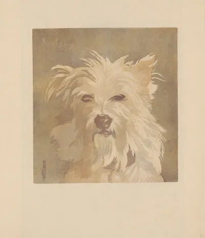 Nicolas Tete De Chien