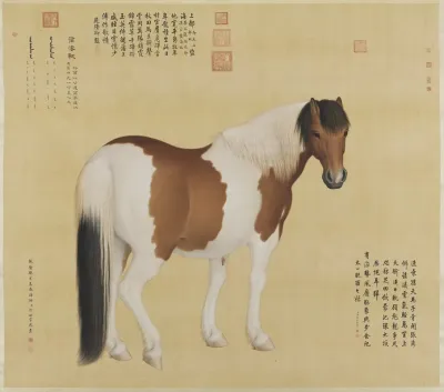 Nieyunshi