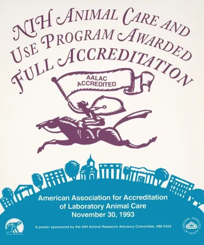 Nih Animal Care And Use Program Awarded Full Accreditation