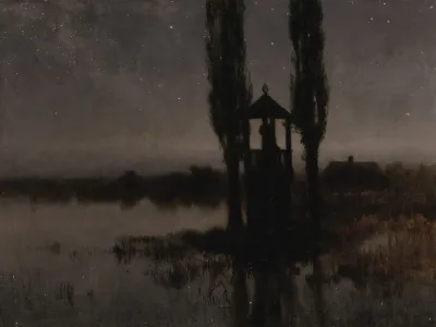 Nocturnal Marshland