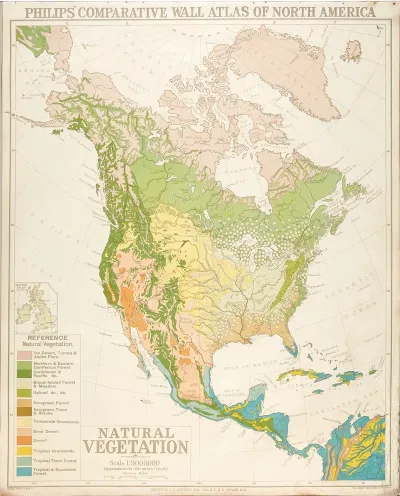North America Natural Vegetation