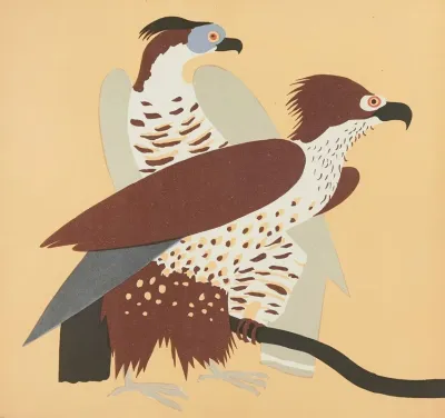 Nouvelles Images A Colorier Des Oiseaux Pl 15