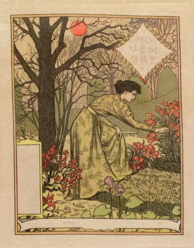 Novembre 2