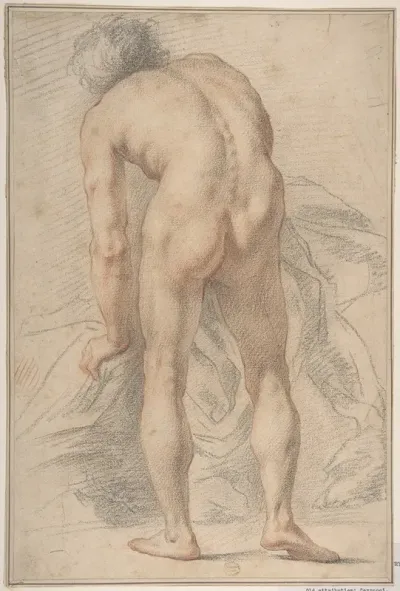 Nude Male Figure Rear View