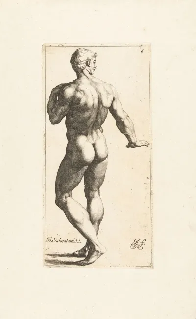 Nude Man Standing Seen From Behind