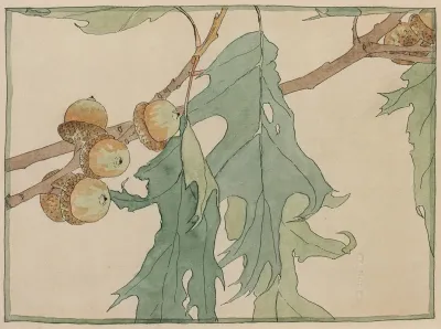Oak And Acorns