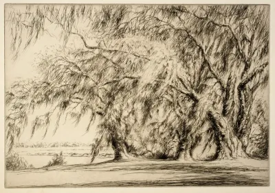 Oaks And Moss