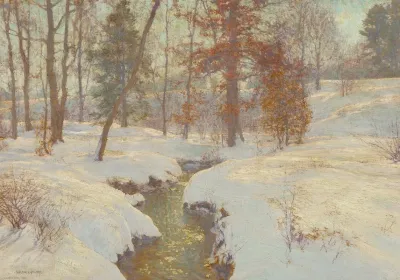 Oaks In Winter Snow In November