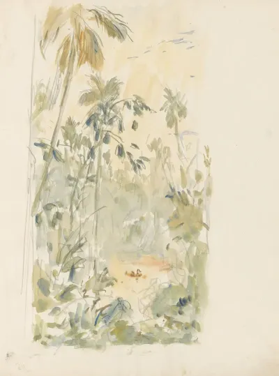 Oerwoud Van Siam