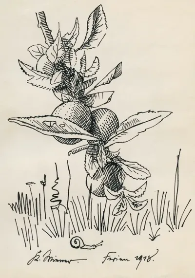 Ohne Titel Zweig Von Einem Obstbaum