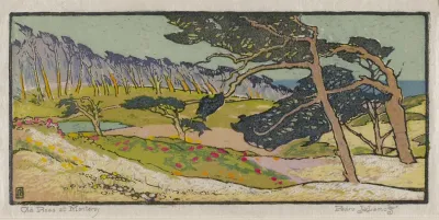 Old Pines At Monterey