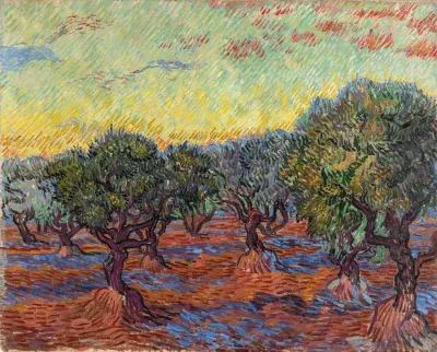 Olive Grove Saint Remy