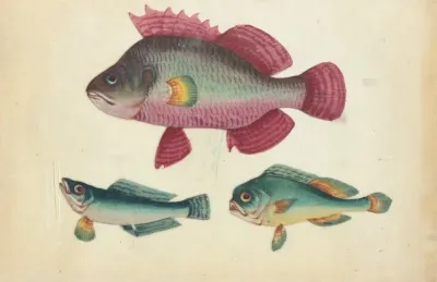 One Pink Fish Two Green Fish