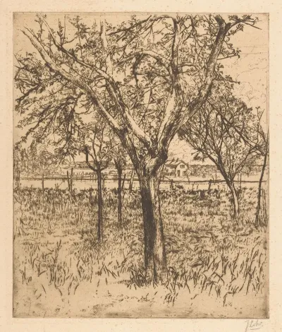 Orchard 6