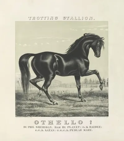 Othello Trotting Stallion