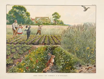 Overal Gvaar Een Junimorgen In De Bouwlanden
