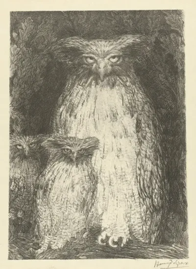 Owl With Two Owlets Sitting On Branch