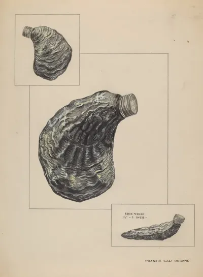 Oyster Shaped Flask