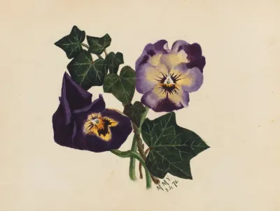 Pansies And Ivy