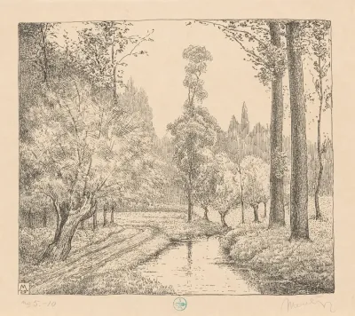 Park Met Water En Bomen Aan De Geul