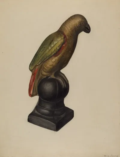Parrot 5