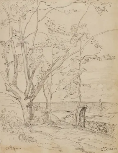 Paysage 15