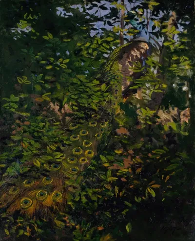 Peacock In The Woods Study For Book Concealing Coloration In The Animal Kingdom