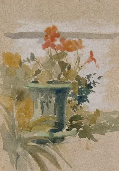 Pelargoniums On The Terrace