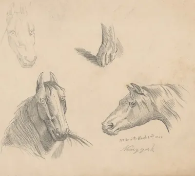 Pencil Exercise No 1 Horse Heads