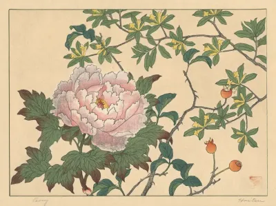 Peony 2