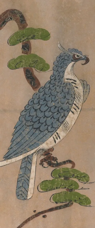 Peregrine Falcon