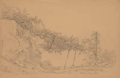 Pergola With Vine In Amalfi